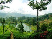 Nuwara Eliya